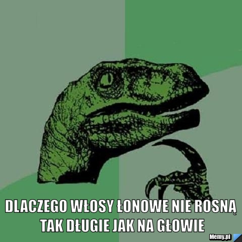  Dlaczego włosy łonowe nie rosną tak długie jak na głowie