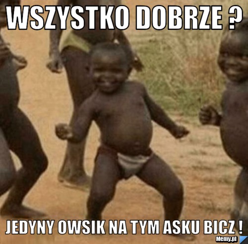 Wszystko Dobrze ? Jedyny Owsik Na tym Asku Bicz !