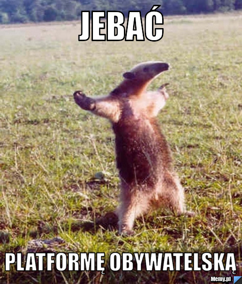 JEBAĆ PLATFORMĘ OBYWATELSKĄ