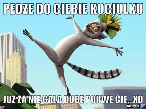 Pedze do Ciebie Kociulku Juz za nie cala dobe Porwe cie...xD