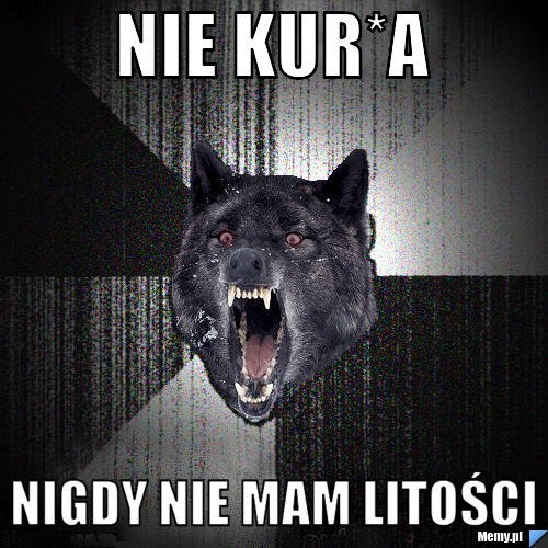 NIE KUR*A NIGDY NIE MAM LITOŚCI