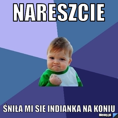 Nareszcie śniła mi sie indianka na koniu