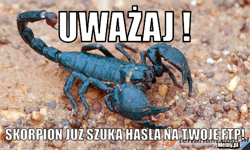 Uważaj ! Skorpion już szuka hasła na twoje ftp!