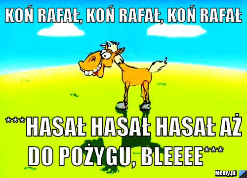 Koń Rafał, Koń Rafał, Koń Rafał  ***Hasał hasał hasał aż do pożygu, bleeee***