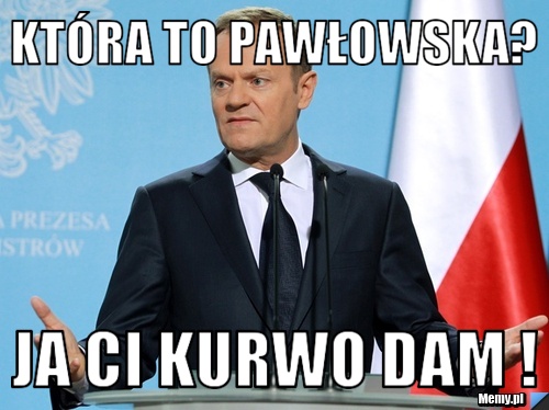 Która to Pawłowska? Ja Ci kurwo dam !