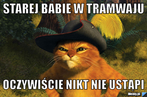 Starej babie w tramwaju oczywiście nikt nie ustąpi