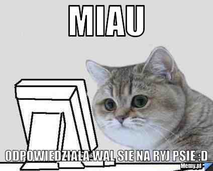 Miau Odpowiedziała:wal sie na ryj psie :D