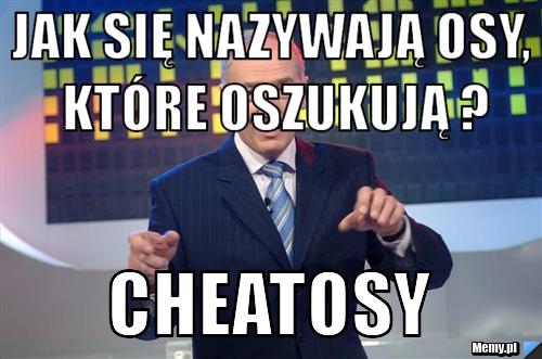 Jak się nazywają osy, które oszukują ? Cheatosy