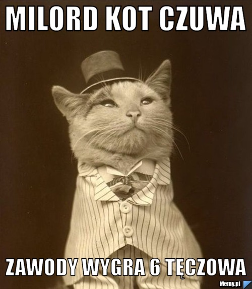 Milord kot czuwa zawody wygra 6 tęczowa