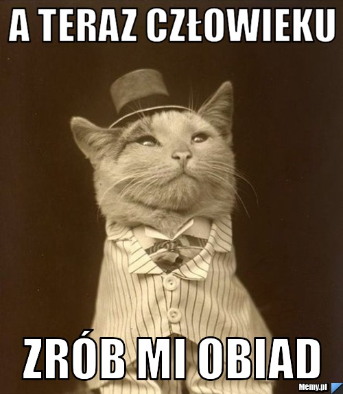 A teraz człowieku zrób mi obiad