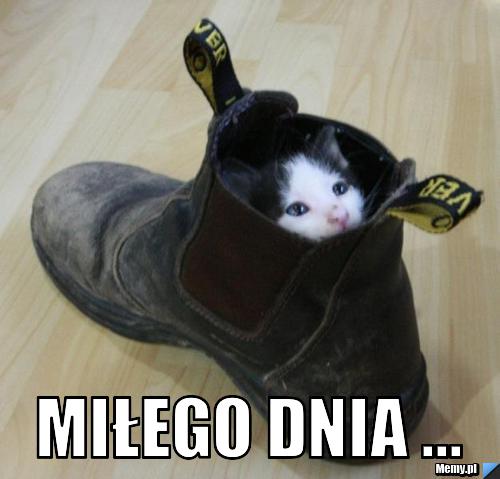  MIŁEGO DNIA ...