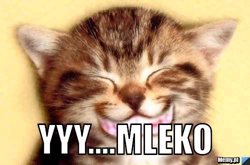  yyy....MLEKO