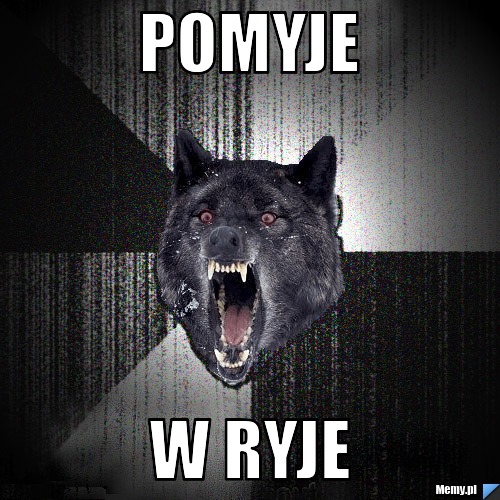 Pomyje w ryje