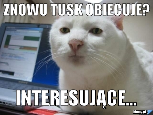 Znowu tusk obiecuje? interesujące...