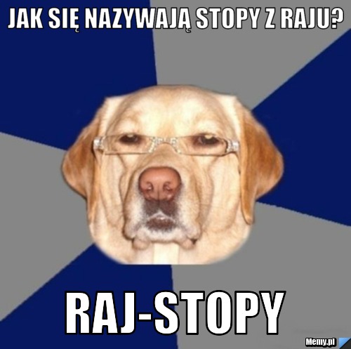 Jak się nazywają stopy z raju? raj-stopy