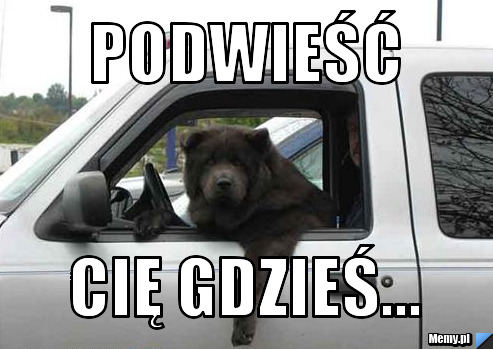 Podwieść cię gdzieś...