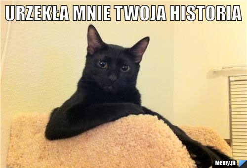 Urzekła mnie twoja historia  
