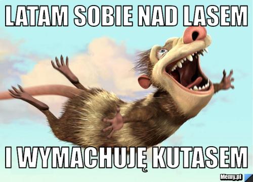 Latam sobie nad lasem i wymachuję kutasem