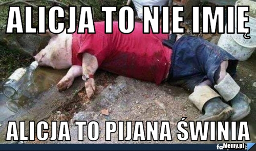 Alicja to nie imię Alicja to pijana świnia