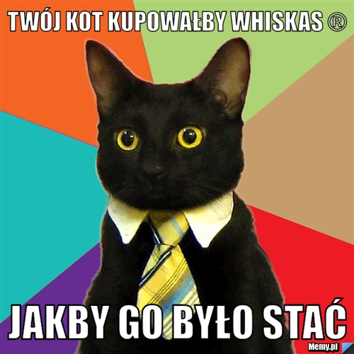 Twój kot kupowałby whiskas ® jakby go było stać