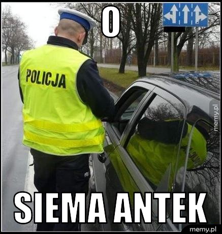 O  Siema Antek