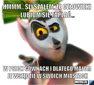 Hmmm.. slyszałem, że człowieki lubiom się taplać... w psich gównach i dlatego majom je wszędzie w swoich miastach