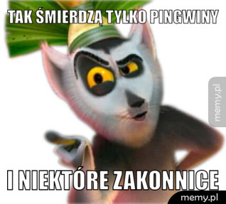 Tak śmierdzą tylko pingwiny I niektóre zakonnice 