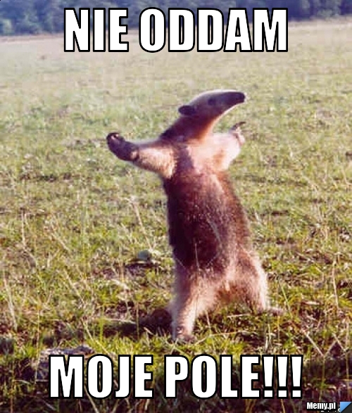NIE ODDAM MOJE POLE!!!