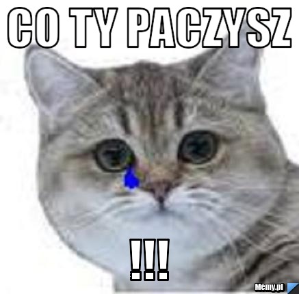Co ty paczysz !!!