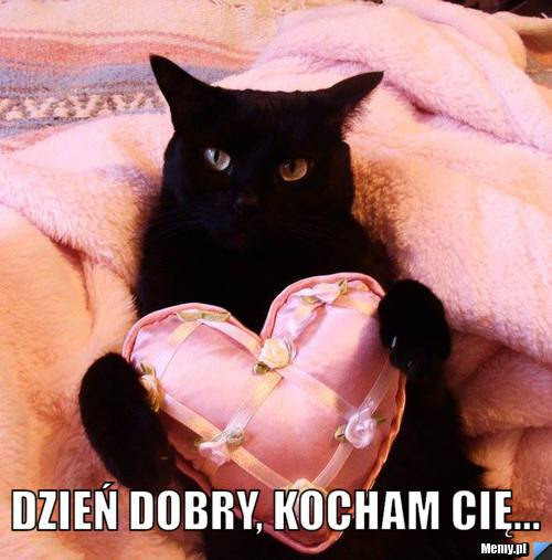  dzień dobry, kocham cię...