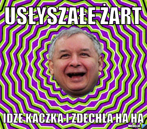 Usłyszałe żart idze kaczka i zdechła ha ha