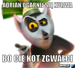 Adrian ogarnij się kurwa  Bo cię kot zgwałci 