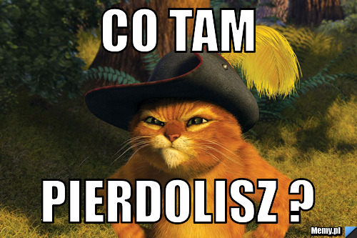 Co tam pierdolisz ?
