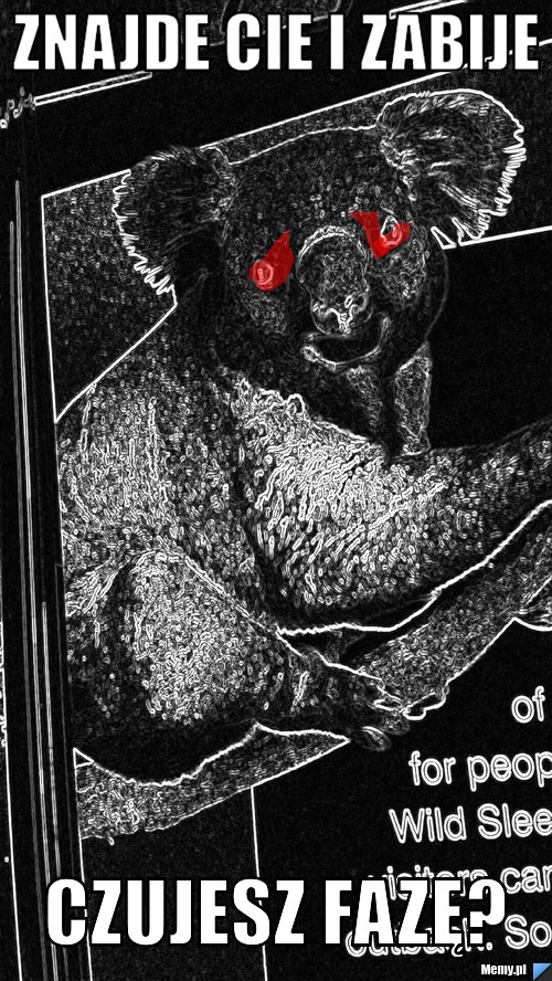 ZNAJDE CIE I ZABIJE CZUJESZ FAZĘ?