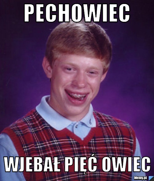 Pechowiec Wjebał pięć owiec