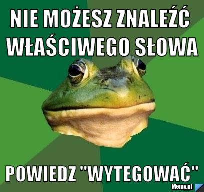 NIE MOŻESZ ZNALEŹĆ WŁAŚCIWEGO SŁOWA POWIEDZ "WYTEGOWAĆ"
