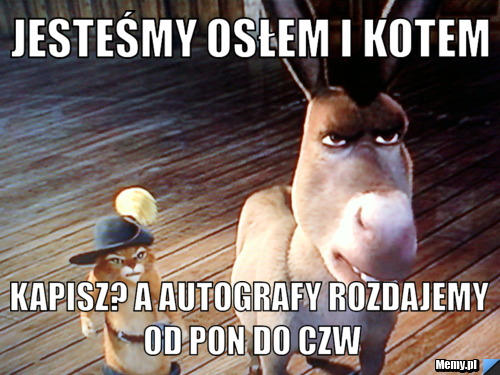 JESTEŚMY OSŁEM I KOTEM KAPISZ? A AUTOGRAFY ROZDAJEMY OD PON DO CZW