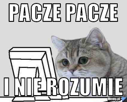 PACZE PACZE  I NIE ROZUMIE