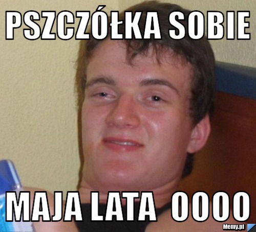 Pszczółka sobie  Maja lata  oooo
