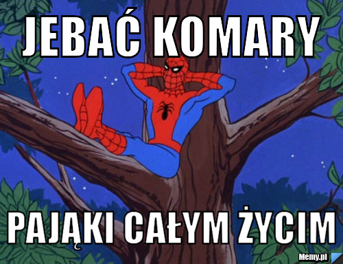 Jebać komary pająki całym życim
