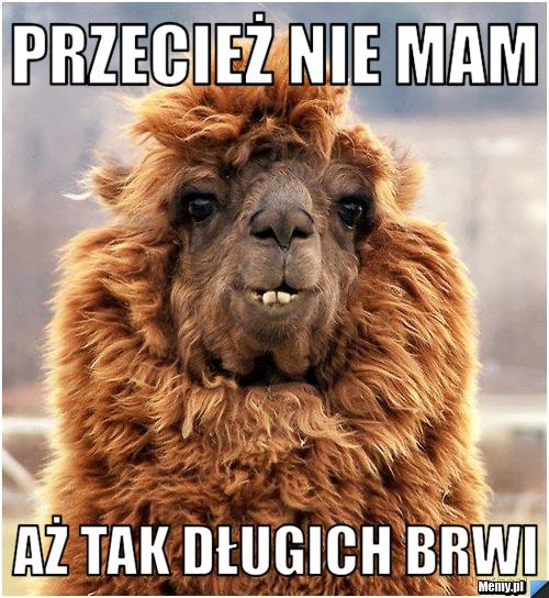 Przecież nie mam aż tak długich brwi