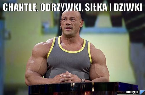 Chantle, odrzywki, siłka i dziwki 