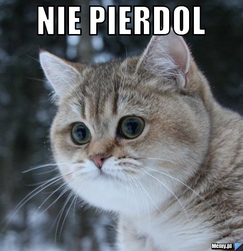 Nie pierdol  