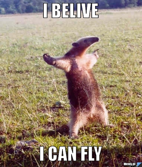 I belive                I can fly