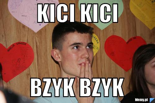 Kici kici  bzyk bzyk