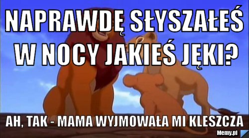 Naprawdę słyszałeś w nocy jakieś jęki? ah, tak - mama wyjmowała mi kleszcza