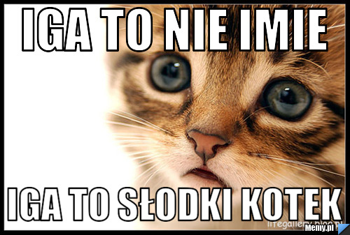 Iga To nie imie Iga to słodki kotek