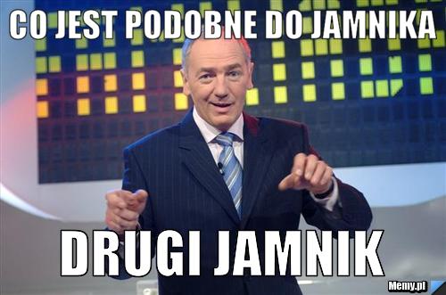 CO JEST PODOBNE DO JAMNIKA DRUGI JAMNIK