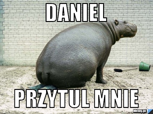 DANIEL PRZYTUL MNIE