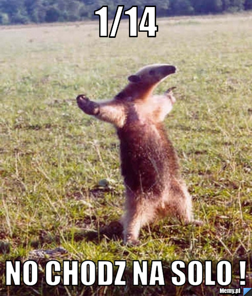 1/14 NO CHODZ NA SOLO !
